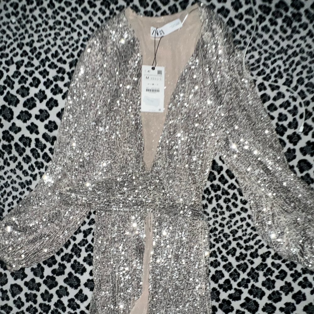 Zara Shimmering Silver Sequin Dress